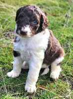 processed/e308d2a9-000f-4709-b099-762692157179/listing/f10bc13c-0539-4df7-887a-21b129d09a5d/af9f9771-08b6-4e75-8873-f85248944bfe