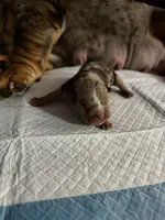 processed/e3097307-d84c-4650-ac1e-d072f2915ca2/listing/ef41eee0-6076-4e51-8b63-20a64355072c/dca1e170-eee5-43bf-808b-44cc5908cfca