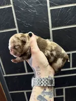 processed/e3097307-d84c-4650-ac1e-d072f2915ca2/listing/ef41eee0-6076-4e51-8b63-20a64355072c/e50f95d1-3f30-488a-89fa-4f302fc81dd8