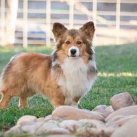 processed/e30c0be8-c8c2-48ff-a341-b2e4060f3251/facility/6fe7c5e9-4467-4766-bd03-bbbad79d522c