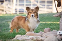 processed/e30c0be8-c8c2-48ff-a341-b2e4060f3251/facility/6fe7c5e9-4467-4766-bd03-bbbad79d522c