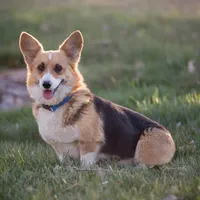 processed/e30c0be8-c8c2-48ff-a341-b2e4060f3251/facility/761cb50b-cc88-412d-89d6-1120565a4e5c