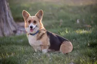 processed/e30c0be8-c8c2-48ff-a341-b2e4060f3251/facility/761cb50b-cc88-412d-89d6-1120565a4e5c