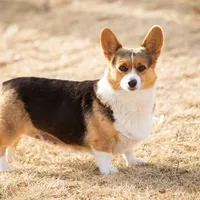 processed/e30c0be8-c8c2-48ff-a341-b2e4060f3251/facility/7ed59996-7b26-4fc2-8470-1ab8a600e7dd