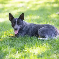 processed/e30c0be8-c8c2-48ff-a341-b2e4060f3251/facility/a9150054-a6ea-47d1-a7d7-9e2837be7cf2