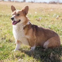 processed/e30c0be8-c8c2-48ff-a341-b2e4060f3251/facility/b10f7c2c-5e16-47c8-b0fa-8994e63dfbda