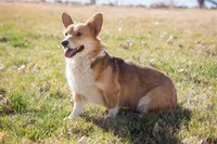 processed/e30c0be8-c8c2-48ff-a341-b2e4060f3251/facility/b10f7c2c-5e16-47c8-b0fa-8994e63dfbda