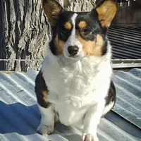 processed/e30c0be8-c8c2-48ff-a341-b2e4060f3251/facility/b1eee388-0b9f-457f-acf2-27ececd8202c