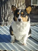 processed/e30c0be8-c8c2-48ff-a341-b2e4060f3251/facility/b1eee388-0b9f-457f-acf2-27ececd8202c