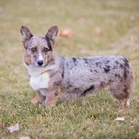 processed/e30c0be8-c8c2-48ff-a341-b2e4060f3251/facility/b2a75dc4-5a9c-4737-bc53-0c4095e2270c