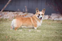 processed/e30c0be8-c8c2-48ff-a341-b2e4060f3251/facility/edd8dfed-b7f2-4f07-933a-c527c8d88851