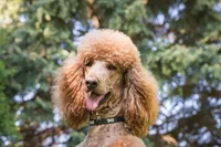 processed/e3144313-05b2-4ac4-a861-b9b10b1d955c/facility/217d16da-a92a-4f0d-a379-5af5da5be884