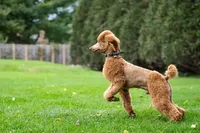 processed/e3144313-05b2-4ac4-a861-b9b10b1d955c/facility/25e0e4a2-5f18-4f67-b13b-cd0d09b70976