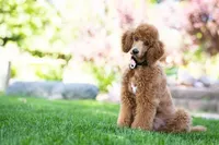 processed/e3144313-05b2-4ac4-a861-b9b10b1d955c/facility/68ede734-ac3f-45fa-83d4-ec01b0ee19d8