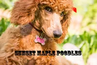 processed/e3144313-05b2-4ac4-a861-b9b10b1d955c/facility/abb2c06d-75fb-478b-b035-b1f7514bc752