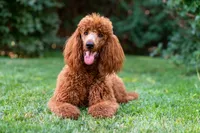 processed/e3144313-05b2-4ac4-a861-b9b10b1d955c/facility/b22df108-254e-4e81-924a-89e78d4f49de