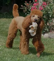 processed/e3144313-05b2-4ac4-a861-b9b10b1d955c/facility/cff5ca78-8275-4790-b2cc-bbf3305632bf