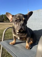 processed/e31526cc-15a9-4440-b5a0-39cbe5b96e07/listing/ccd6db2f-e3e9-4e9f-9a6e-9ad353279f8b/188adf1e-9c38-49fc-b881-793b2abaee2b