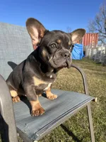 processed/e31526cc-15a9-4440-b5a0-39cbe5b96e07/listing/ccd6db2f-e3e9-4e9f-9a6e-9ad353279f8b/5ed45f7b-4a5d-47b7-b340-7f84a5c6ee40