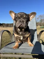 processed/e31526cc-15a9-4440-b5a0-39cbe5b96e07/listing/ccd6db2f-e3e9-4e9f-9a6e-9ad353279f8b/ff8c4877-e6be-4d25-a3c6-abca9acf57bd