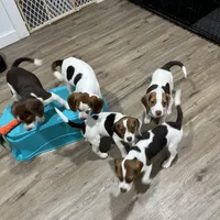 processed/e315a788-3ac1-41b4-bef9-5204d0ba30ad/facility/28aae94b-913b-4560-81d3-a69a83252d44