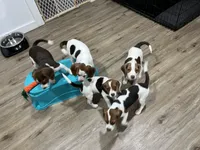 processed/e315a788-3ac1-41b4-bef9-5204d0ba30ad/facility/28aae94b-913b-4560-81d3-a69a83252d44