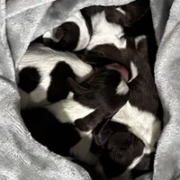 processed/e315a788-3ac1-41b4-bef9-5204d0ba30ad/facility/b23bd087-72d9-430d-a09b-b2330ebb3320