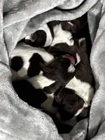 processed/e315a788-3ac1-41b4-bef9-5204d0ba30ad/facility/b23bd087-72d9-430d-a09b-b2330ebb3320