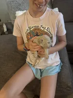 Golden doodle girl, a female Goldendoodle for sale in Satellite Beach, FL – 8 of 8