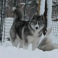 processed/e3239fa8-28ba-4509-a9bd-6383a4b07e3b/facility/49b62033-0e0c-407f-a28b-fdabf04ac94f