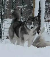 processed/e3239fa8-28ba-4509-a9bd-6383a4b07e3b/facility/49b62033-0e0c-407f-a28b-fdabf04ac94f