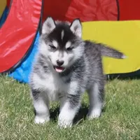 processed/e3239fa8-28ba-4509-a9bd-6383a4b07e3b/facility/5c0b860c-f794-49c9-aa77-fdb7ed1c1af2