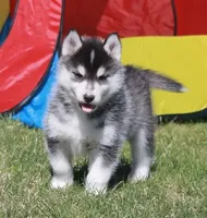 processed/e3239fa8-28ba-4509-a9bd-6383a4b07e3b/facility/5c0b860c-f794-49c9-aa77-fdb7ed1c1af2