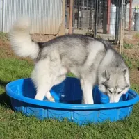 processed/e3239fa8-28ba-4509-a9bd-6383a4b07e3b/facility/67c4c0e8-c406-4153-8c62-6ff45d250011