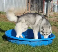 processed/e3239fa8-28ba-4509-a9bd-6383a4b07e3b/facility/67c4c0e8-c406-4153-8c62-6ff45d250011