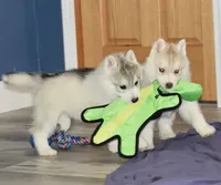 processed/e3239fa8-28ba-4509-a9bd-6383a4b07e3b/facility/8595f938-2ac7-41c6-8059-13a74776bab4