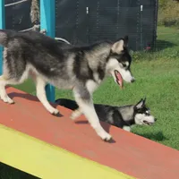 processed/e3239fa8-28ba-4509-a9bd-6383a4b07e3b/facility/ac8f485f-80b6-460d-8311-acc303a97cc8