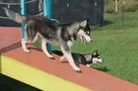 processed/e3239fa8-28ba-4509-a9bd-6383a4b07e3b/facility/ac8f485f-80b6-460d-8311-acc303a97cc8