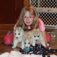 processed/e3239fa8-28ba-4509-a9bd-6383a4b07e3b/facility/f26459b8-43a5-41c3-bb71-a70e3e809e2f