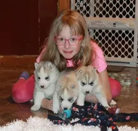 processed/e3239fa8-28ba-4509-a9bd-6383a4b07e3b/facility/f26459b8-43a5-41c3-bb71-a70e3e809e2f