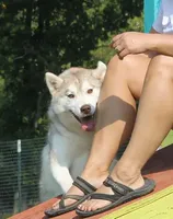 processed/e3239fa8-28ba-4509-a9bd-6383a4b07e3b/facility/fd87c314-a73a-4f53-b163-c6792ae0f766