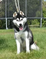 processed/e3239fa8-28ba-4509-a9bd-6383a4b07e3b/listing/12a4e965-1c67-4653-9879-f5e7cc574162/1ffaa425-8746-4a66-b962-b9669ecfadfa