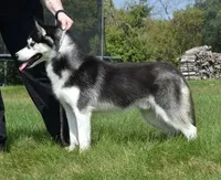 processed/e3239fa8-28ba-4509-a9bd-6383a4b07e3b/listing/12a4e965-1c67-4653-9879-f5e7cc574162/2995ce82-4fe5-4d8a-826f-a3dbcbd19524