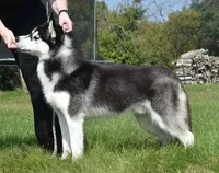 processed/e3239fa8-28ba-4509-a9bd-6383a4b07e3b/listing/12a4e965-1c67-4653-9879-f5e7cc574162/4c9e362e-bfea-4d80-a849-0e12fa9a09bc