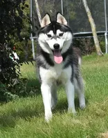 processed/e3239fa8-28ba-4509-a9bd-6383a4b07e3b/listing/12a4e965-1c67-4653-9879-f5e7cc574162/6da107fc-92fb-4150-834d-ced4d186b060