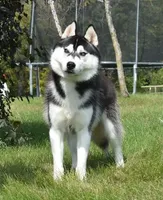 processed/e3239fa8-28ba-4509-a9bd-6383a4b07e3b/listing/12a4e965-1c67-4653-9879-f5e7cc574162/83ddba14-3d97-4ba4-bf91-e8d8a7e7acb1