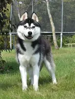 processed/e3239fa8-28ba-4509-a9bd-6383a4b07e3b/listing/12a4e965-1c67-4653-9879-f5e7cc574162/8aa5d108-882a-424d-8641-e0f98558bd75