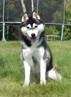 processed/e3239fa8-28ba-4509-a9bd-6383a4b07e3b/listing/12a4e965-1c67-4653-9879-f5e7cc574162/c59bc87a-153a-42fa-8460-434083437038