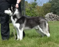 processed/e3239fa8-28ba-4509-a9bd-6383a4b07e3b/listing/12a4e965-1c67-4653-9879-f5e7cc574162/ed0d36a6-2902-4cfb-a79b-3f9a54d9030e