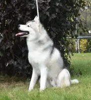 processed/e3239fa8-28ba-4509-a9bd-6383a4b07e3b/listing/45baa0c1-b825-4a0d-9a7f-fdde1776219e/0afe4d2c-5996-4a68-ba40-087996fa3ea3